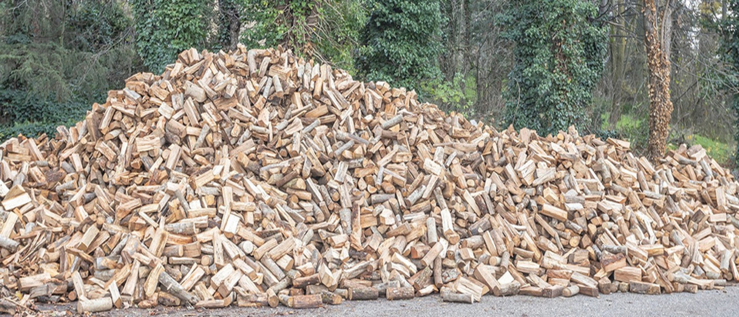 Bois_casier_en_vrac Bois en vrac pour casier Brossier